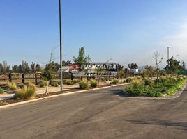  Land for sale in Chile, Colina, Chacabuco, Santiago, Chile