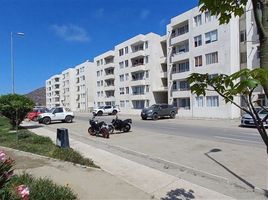 3 Habitación Departamento en venta en Coquimbo, Coquimbo, Elqui, Coquimbo