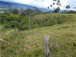  Terreno (Parcela) en venta en Yotoco, Valle Del Cauca, Yotoco