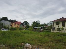  Terreno (Parcela) en venta en Cebu City, Central Visayas, Cebu City, Cebu, Central Visayas, Filipinas