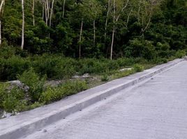  Land for sale in Liloan, Cebu, Liloan