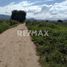  토지을(를) Dist Ocotlan, 오악 사카에서 판매합니다., Dist Ocotlan