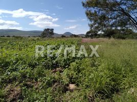  토지을(를) Dist Ocotlan, 오악 사카에서 판매합니다., Dist Ocotlan
