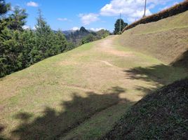  Terreno (Parcela) en venta en San Pedro De Uraba, Antioquia, San Pedro De Uraba