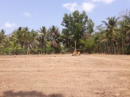  Tanah for sale in Pekalongan, Jawa Tengah, Tirto, Pekalongan