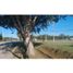  Land for sale in Santa Maria, Cordoba, Santa Maria