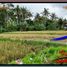  Tanah for sale in Tampak Siring, Gianyar, Tampak Siring