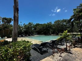  Grundstück zu verkaufen in Conkal, Yucatan, Conkal