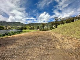  Land for sale in El Carmen De Viboral, Antioquia, El Carmen De Viboral