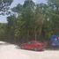  Land for sale in Cozumel, Quintana Roo, Cozumel, Quintana Roo