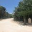  Land for sale in Cozumel, Quintana Roo, Cozumel, Quintana Roo