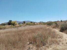  토지을(를) Dist Ocotlan, 오악 사카에서 판매합니다., Dist Ocotlan
