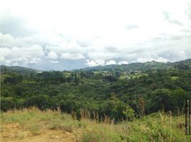  Grundstück zu verkaufen in Rionegro, Antioquia, Rionegro