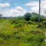  Land for sale in Yogyakarta, Seyegan, Sleman, Yogyakarta