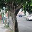 58 m² Office for rent in Morelos, Cuernavaca, Morelos