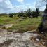  Terreno (Parcela) en venta en Merida, Yucatán, Merida