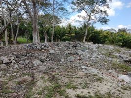  Terreno (Parcela) en venta en Merida, Yucatán, Merida