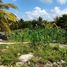  Terreno (Parcela) en venta en Merida, Yucatán, Merida