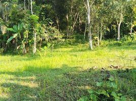  Land for sale in Bantul, Yogyakarta, Pajangan, Bantul