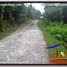  Land for sale in Selemadeg, Tabanan, Selemadeg