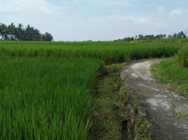  Land for sale in Ubud Art Market, Ubud, Ubud