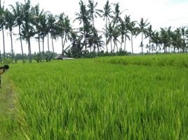  Tanah for sale in Ubud, Gianyar, Ubud