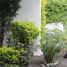 25 m² Office for rent in Puebla, San Andres Cholula, Puebla