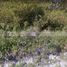  Land for sale in Poza Rica De Hidalgo, Veracruz, Poza Rica De Hidalgo