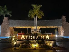  Grundstück zu verkaufen in Puerto Morelos, Quintana Roo, Puerto Morelos