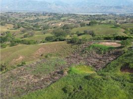  Land for sale in Pereira, Risaralda, Pereira