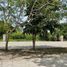  Terreno (Parcela) en venta en Merida, Yucatán, Merida, Yucatán