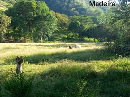  Terreno (Parcela) en venta en San Jeronimo, Antioquia, San Jeronimo