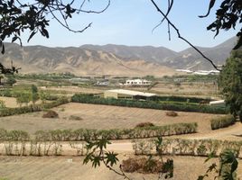  Land for sale in Pachacamac, Lima, Pachacamac