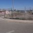 Studio Haus zu verkaufen in Ojinaga, Chihuahua, Ojinaga
