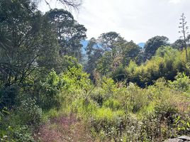  Grundstück zu verkaufen in Valle De Bravo, Mexico, Valle De Bravo