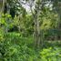 Terrain à vendre à Othon P Blanco, Quintana Roo, Othon P Blanco