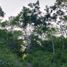 Terrain à vendre à Othon P Blanco, Quintana Roo, Othon P Blanco