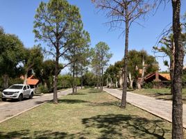  Land for sale in Junin, San Luis, Junin