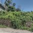  Terreno (Parcela) en venta en Puente De Ixtla, Morelos, Puente De Ixtla