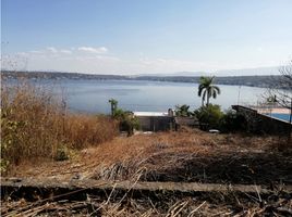  Terreno (Parcela) en venta en Puente De Ixtla, Morelos, Puente De Ixtla