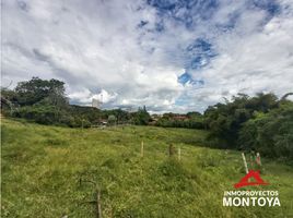  Land for sale in Pereira, Risaralda, Pereira