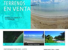  Grundstück zu verkaufen in Othon P Blanco, Quintana Roo, Othon P Blanco