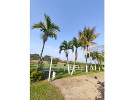  Terreno (Parcela) en venta en Jamundi, Valle Del Cauca, Jamundi