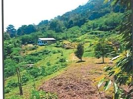  Land for sale in Lubok Merbau, Kuala Kangsar, Lubok Merbau