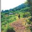  Land for sale in Lubok Merbau, Perak, Lubok Merbau, Kuala Kangsar, Perak