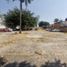  Grundstück zu verkaufen in Cuernavaca, Morelos, Cuernavaca