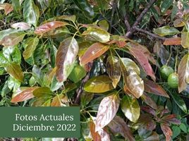  Land for sale in Morelia, Michoacan, Morelia