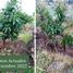  Land for sale in Morelia, Michoacan, Morelia