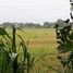  Land for sale in Bangar, Ilocos, Bangar