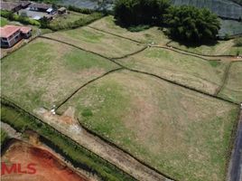  Terreno (Parcela) en venta en El Carmen, Norte De Santander, El Carmen